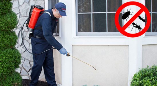 Gölköy Dezenfeksiyon böcek ilaçlama ve haşere kontrolü — ilaclama-tr.com